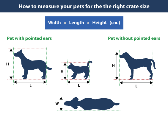 How to measure your pets for the right crate size