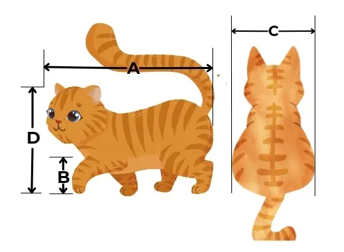 cat-measurement
